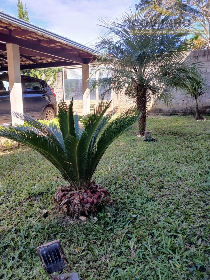 WhatsApp Image 2025-02-14 at 16.11.57.jpeg